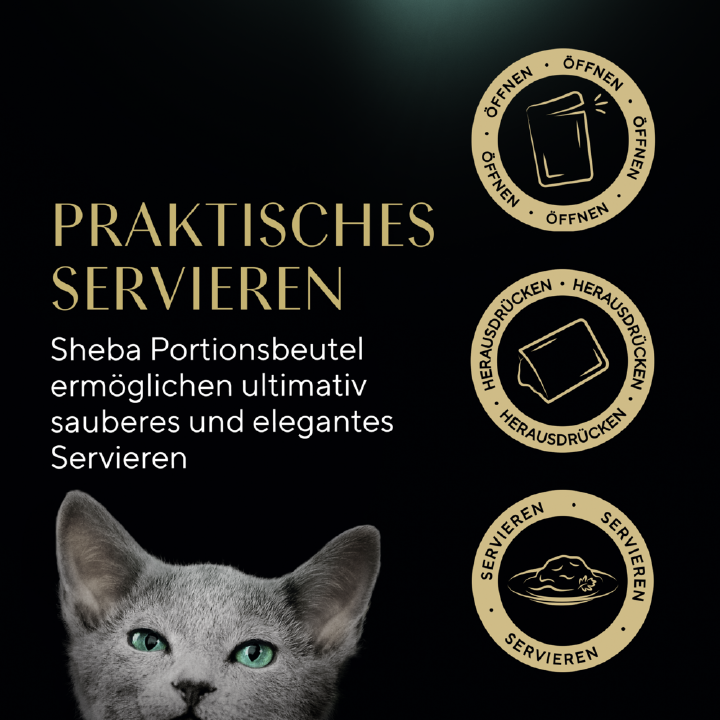 Sheba Katzen-Nassfutter Kitten in Sauce mit Lachs